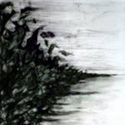 Xyxyxma : As the Glass Shatters